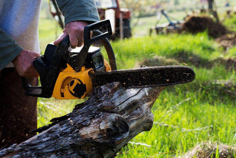 Emergency Tree Removal